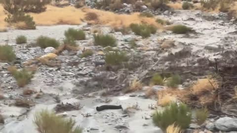 INTENSE Flash flood with very large boulders rolling like a potato down Whitewater