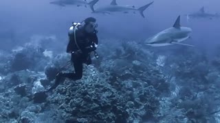 Brave Diver Sitting Quitly Between Group Of Rare Fishes Under The Sea