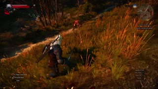 The Witcher 3 - Wild Hunt - 10 - Contrato e explorando