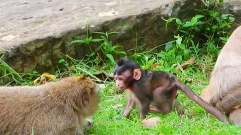 Branda Enjoys staying with mother near moat