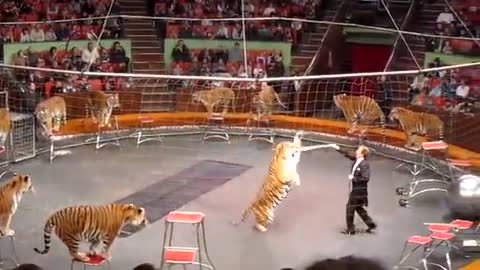 Russian Circus