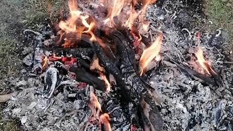 The beauty of the forest and lighting a fire to keep warm