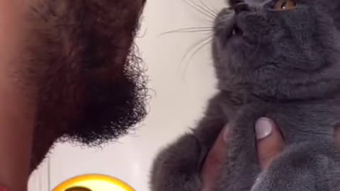 cat singing with owner