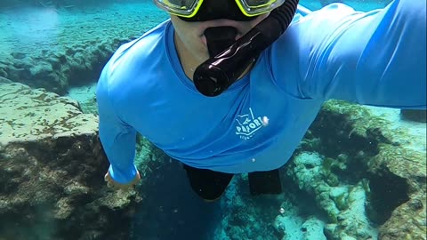 Rate this dive in Ginnie Springs Florida #florida #snorkeling #diving #freedive