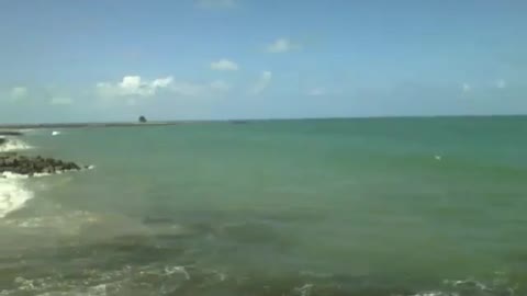 Filming the sea coast near the beach, a magnificent sight [Nature & Animals]