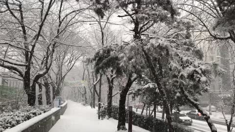 a heavily snowy street