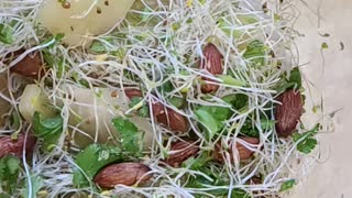 Alfalfa salad