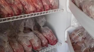 Where To Buy Rabbit Meat Near Me