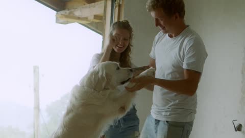 Cute dog Dancing with Happy Couple