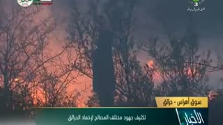 Algeria: Forest Fires Leave at Least 26 Dead