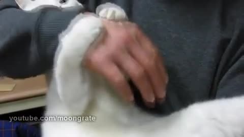 Scratch me, scratch