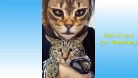 Funny cat compilation with owners! Funny cats!