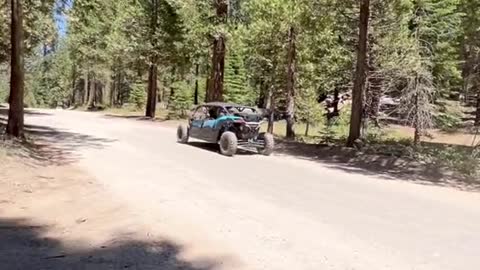 Did you know you can ride an UTV into a grove of Sequoias right outside of Yosemite!?