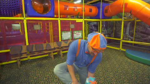 Blippi Learns about Jungle Animals for Kids | Educational Videos for Toddlers