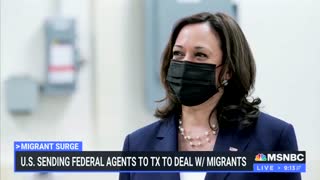 MSNBC Host: Where's The VP On This Border Crisis? Wasn't She Handling It?
