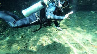 Scuba diver appears to be reading book underwater!