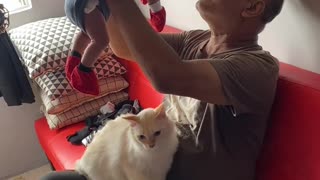 Covetous Cat Wants Grandpa's Attention