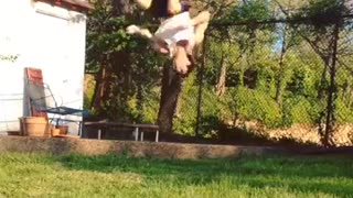 Small trampoline white tank top fail