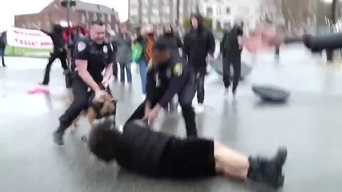 Militant BLM Activist Gets Laid Out By Cop After She Turned Violent, Tried Interfering In An Arrest