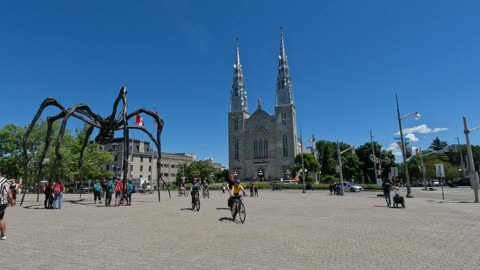 ⛪💒 The Notre Dame #Cathedral Basilica & Charing Park In Ottawa ⚾🕷️🕸️