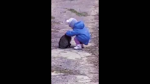 Funny Cat and Baby Love-MayaFunnyVideo