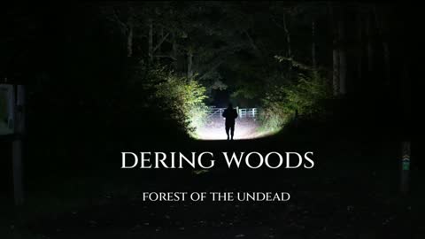 Haunted Forest Dering Woods