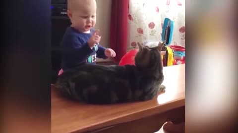 BABY AND CAT - HARD NOT TO LAUGH - CUTE AND FUNNY