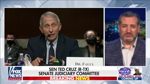 Ted Cruz reacts to Fauci claiming to 'represent science'