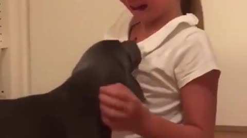 Dog was lost. She just found it.her reaction