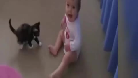 Little Baby Funny Playing with cat