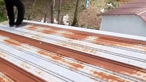 But the slope of the roof!