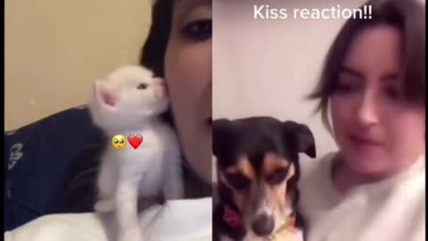 Give your pet a kiss and see what happens199