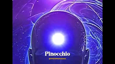 Interpreting Pinocchio