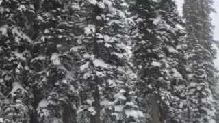Skiing in a snow storm!