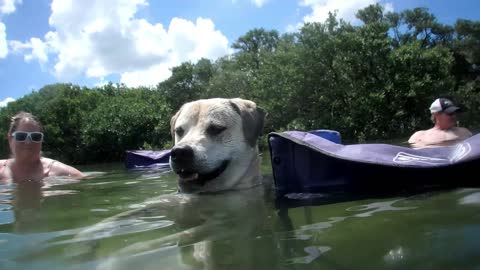 Ray the bait hunter.