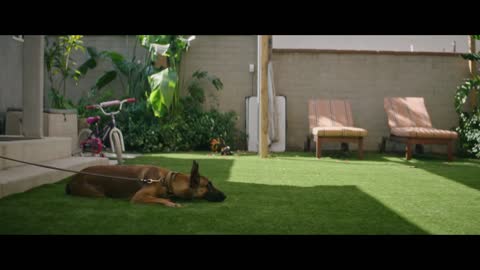 DOG Official Trailer MGM Studios