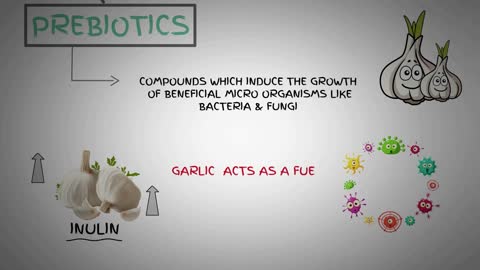 5 INCREDIBLE HEALTH BENEFITS OF GARLIC