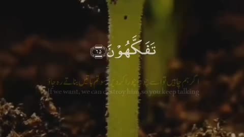 Quran ki baat...