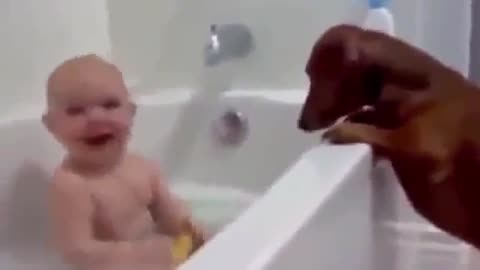 Funny Babies Laughing Compilation