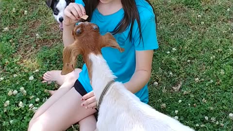 A girl and her goat