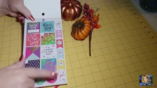 Happy Planner Happy Girl Trendsetter Big Sticker Pack Flip Through Review Sincerely Sapphire dot com