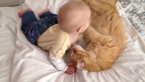 Cat meets baby for the first time.