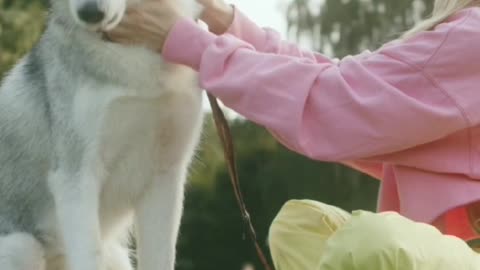 Dogs Video amazing 7 cute baby dogs funny videos | Woman Sitting on the Grass While Feeding a Dog