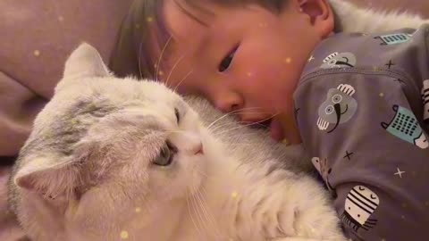 Cats and babies, the epitome of cuteness overload!