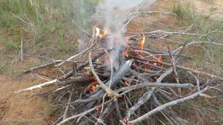 Primitive Technology: Found Goose Nest & Stalks Goose Eggs in The Wild