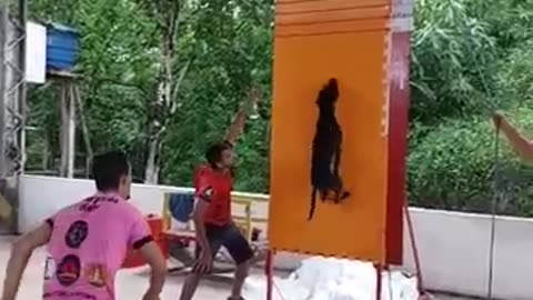 Pitbull climbs vertical panel