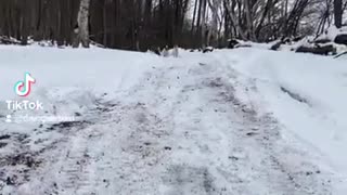 Kayaking in the Snow with Goats