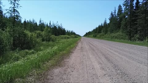 Admiral Road in Sax Zim Bog near McDavitt Township Minnesota June 2021