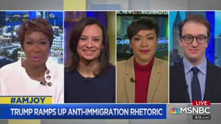 MSNBC guest insults 'white supremacist' Fox News host as ‘half-witted’