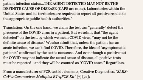 PCR test revelations from official literature; they expose their own lies - Feb 23 by Jon Rappoport